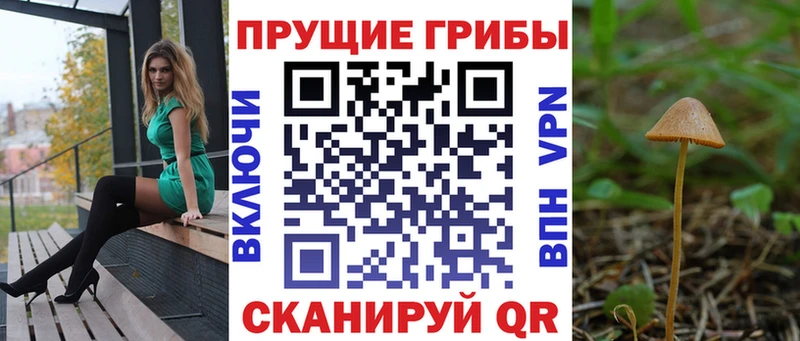 Галлюциногенные грибы GOLDEN TEACHER  Новоржев 
